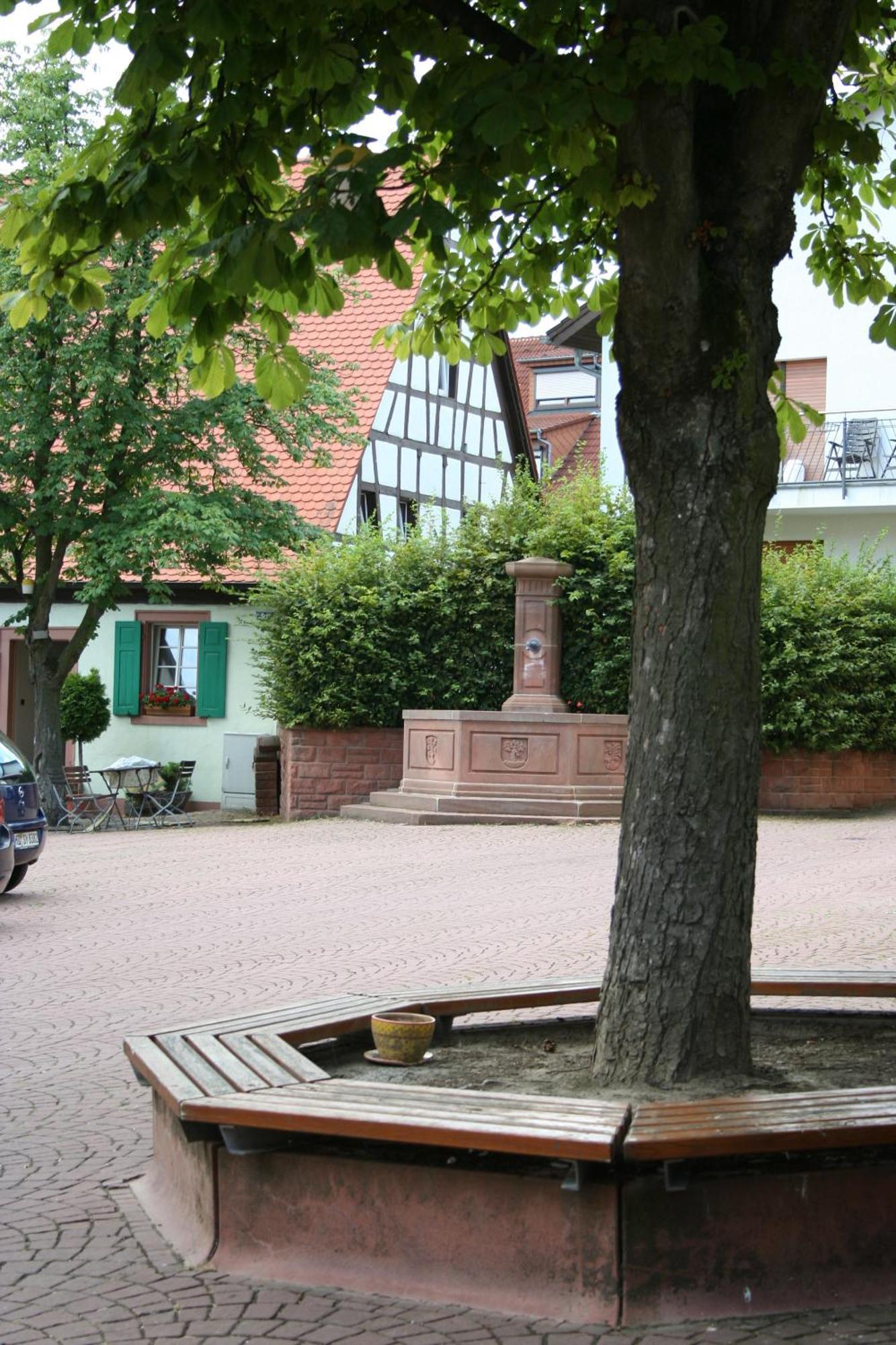 Landhotel Sickinger Hof Walldorf  Dış mekan fotoğraf